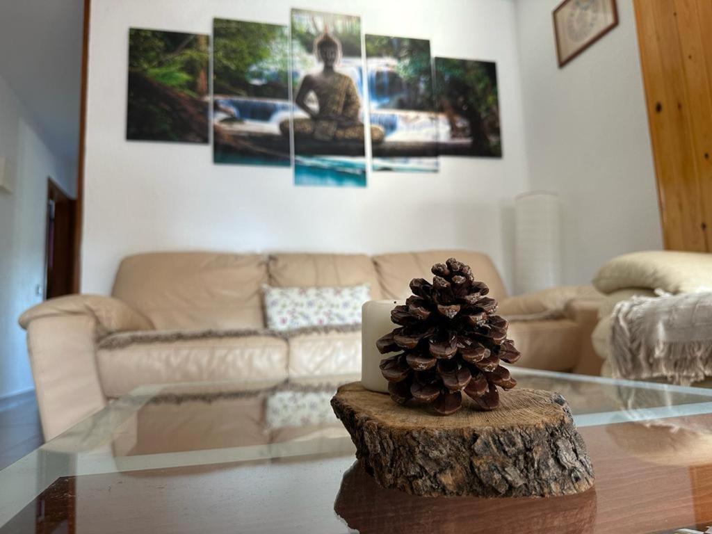 Apartamento Can Giru 토르데라 외부 사진